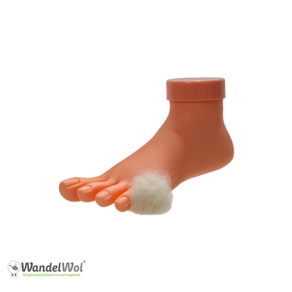 Wandelwol